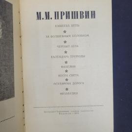 Картинка 4