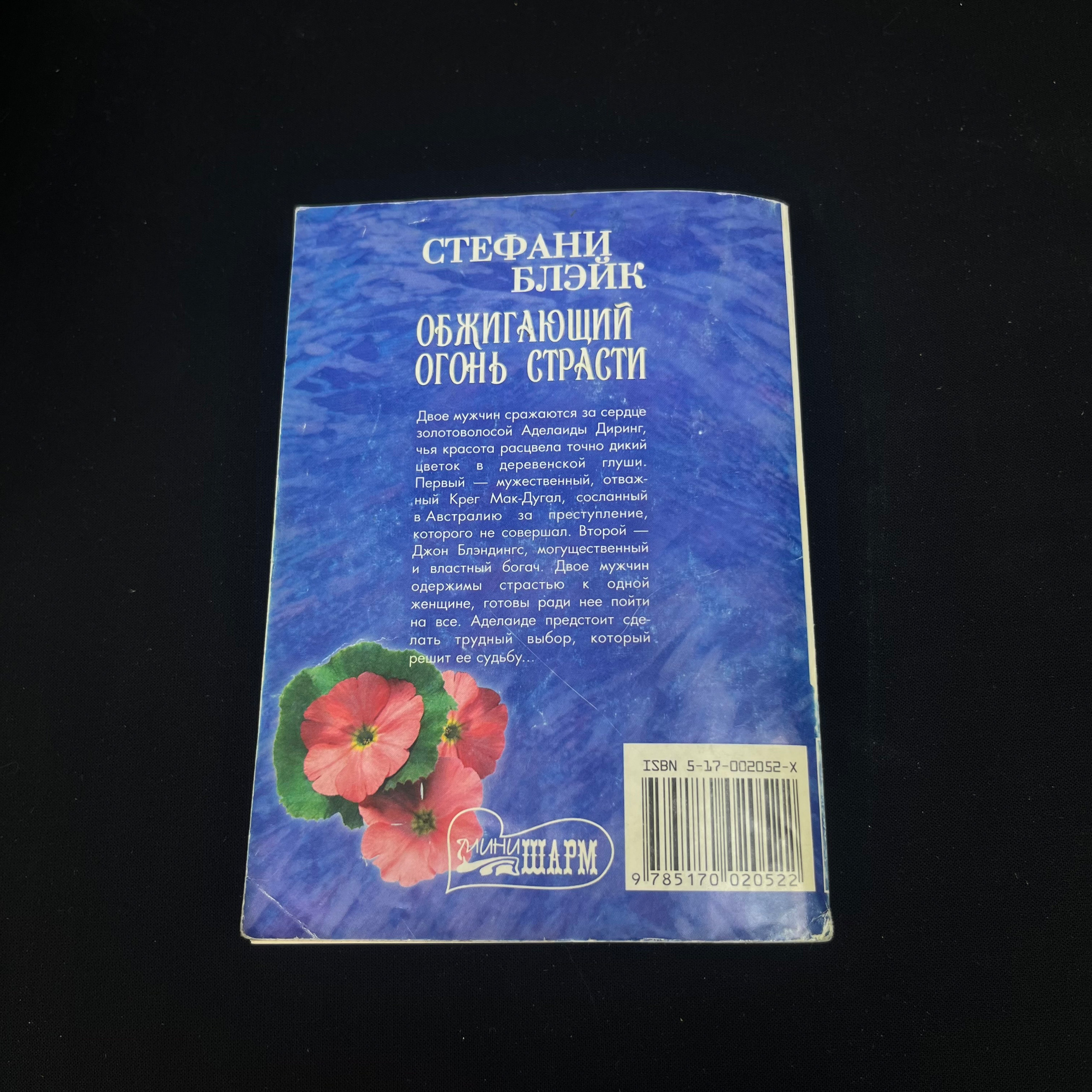 Картинка 2