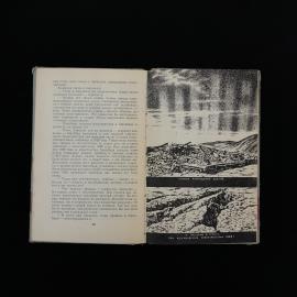 Картинка 6