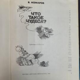 Картинка 3
