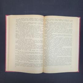 Картинка 5