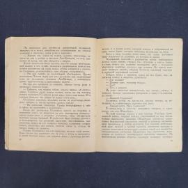 Картинка 4