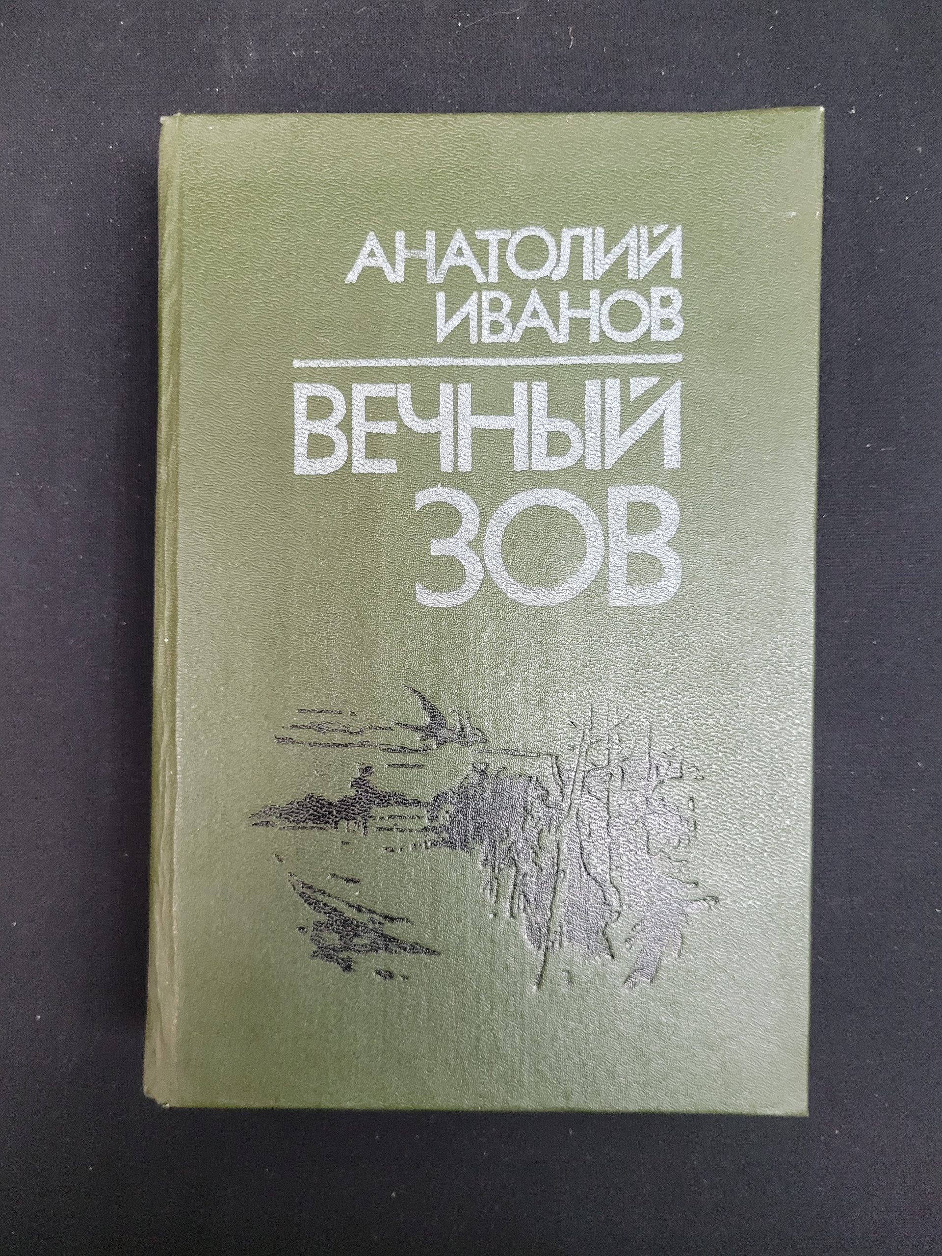 Картинка 1