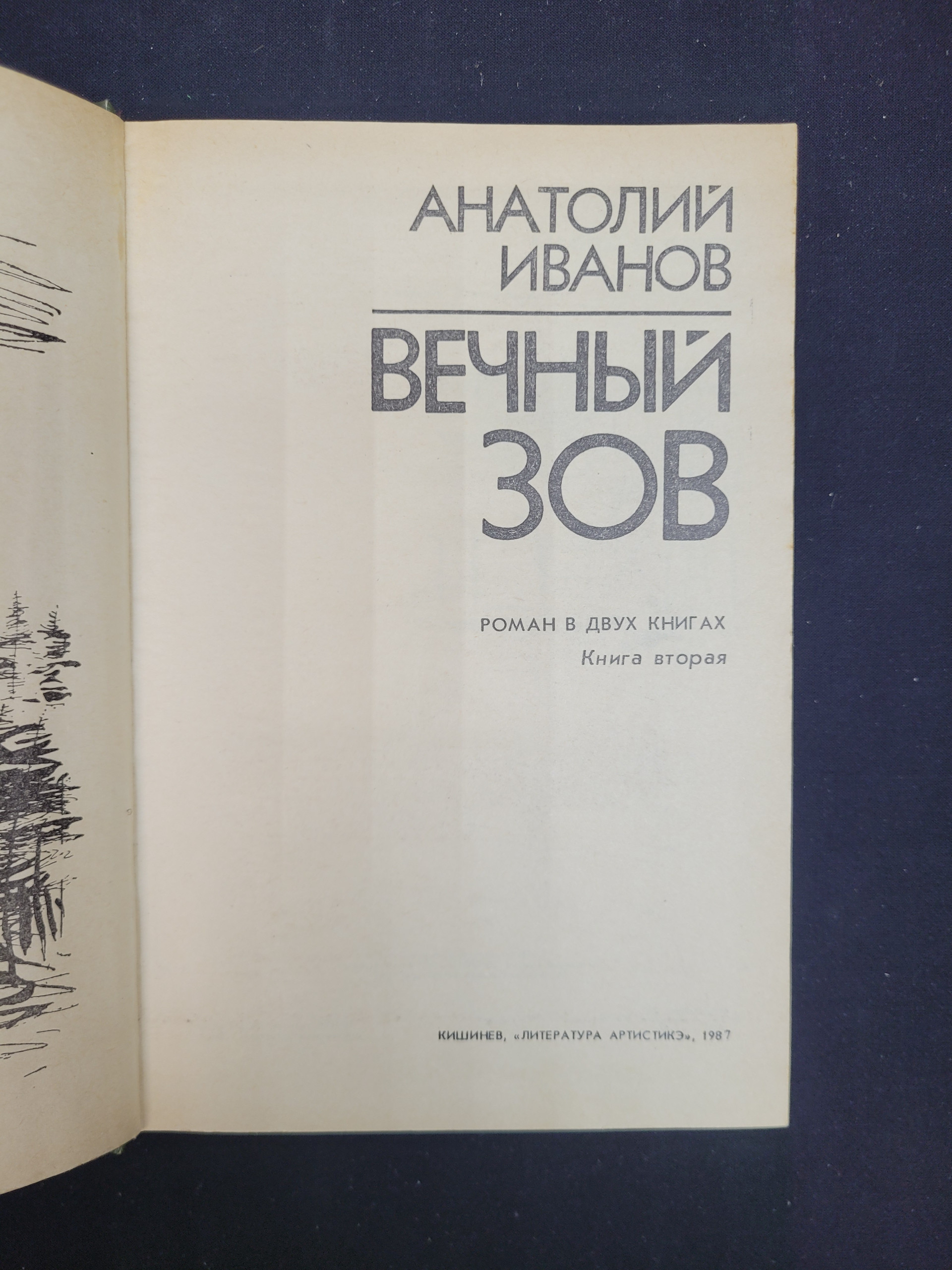 Картинка 4