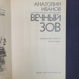 Картинка 4