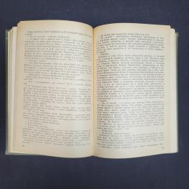 Картинка 5