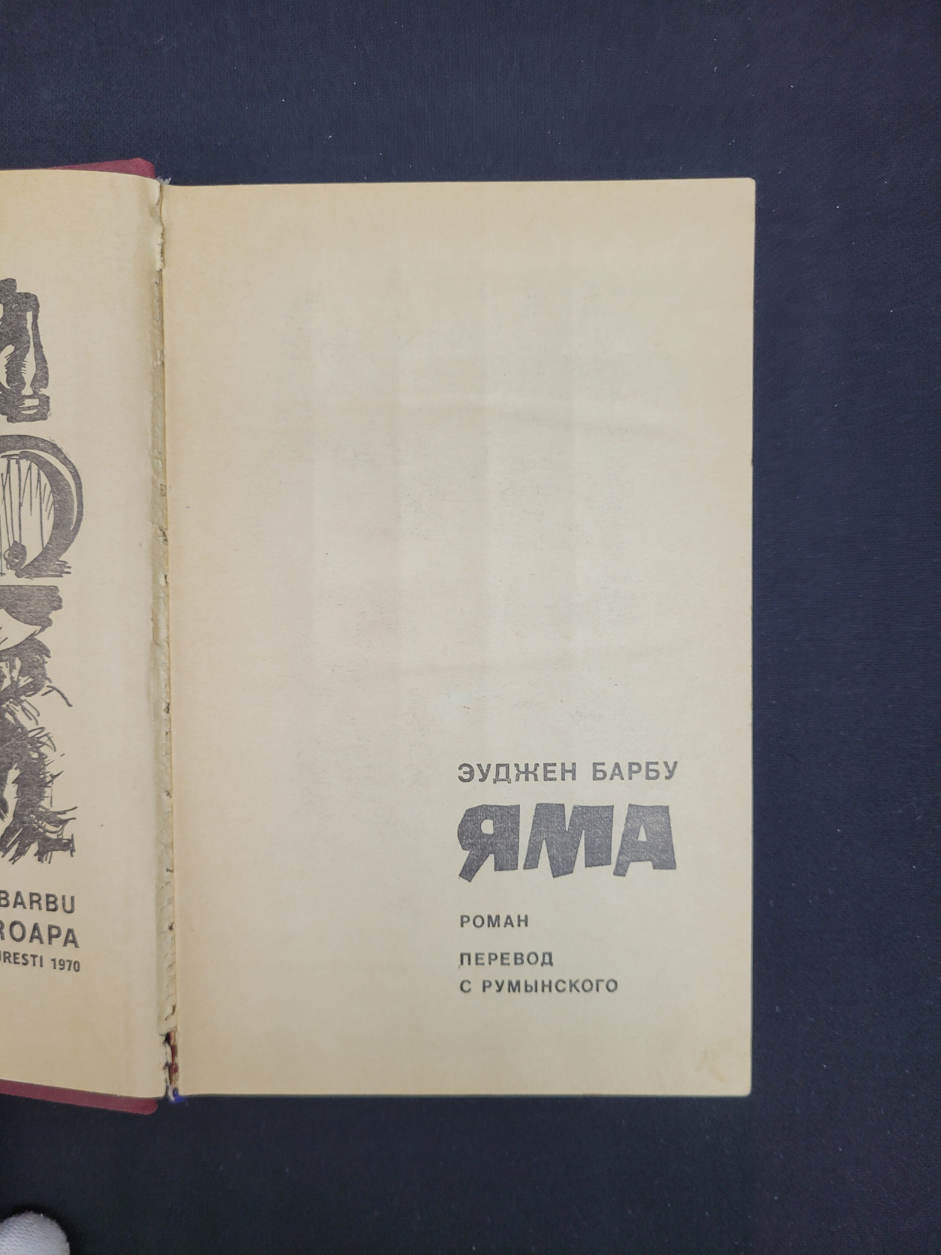 Картинка 4