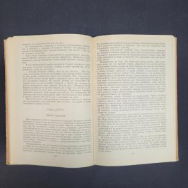 Картинка 5