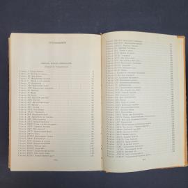 Картинка 6