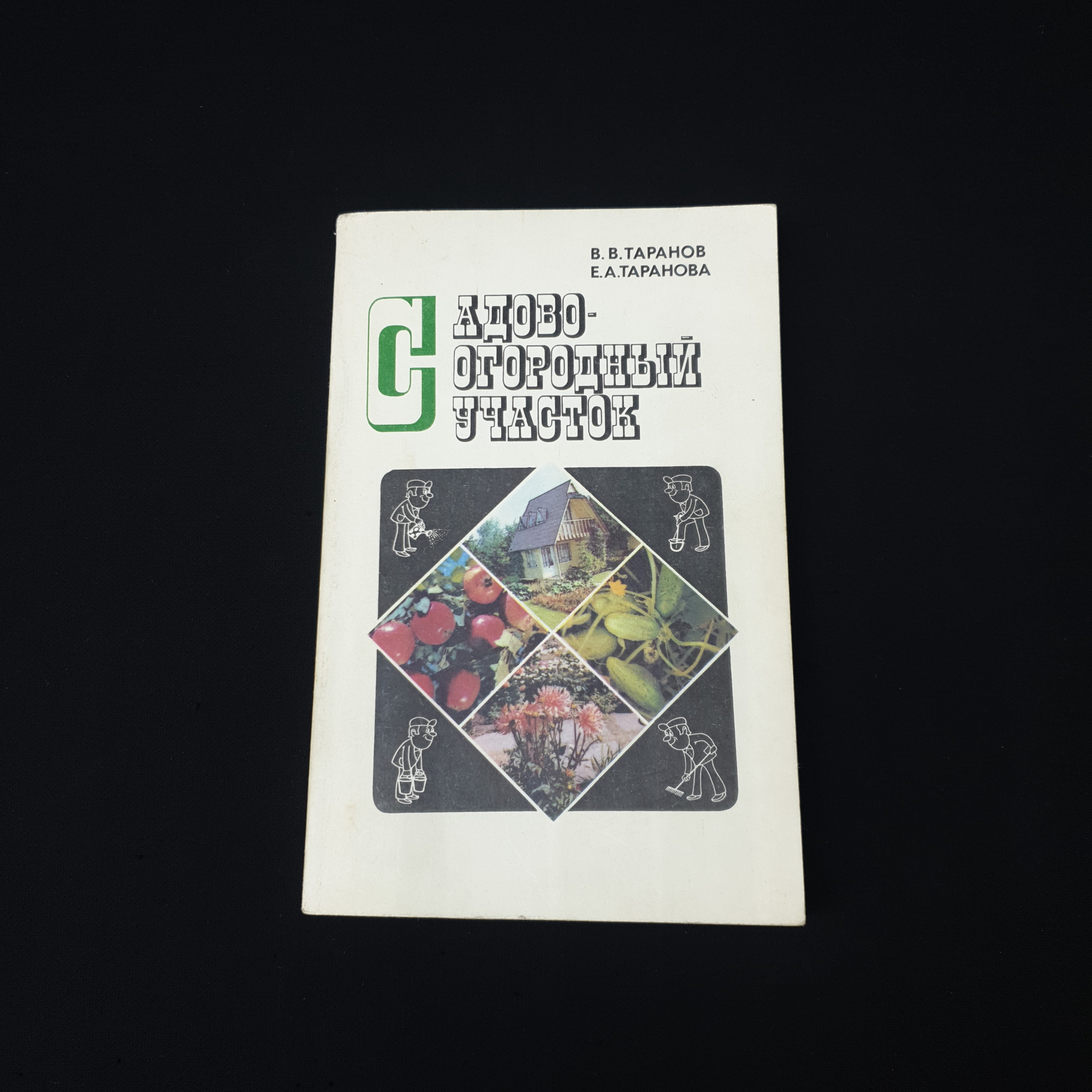 Картинка 1
