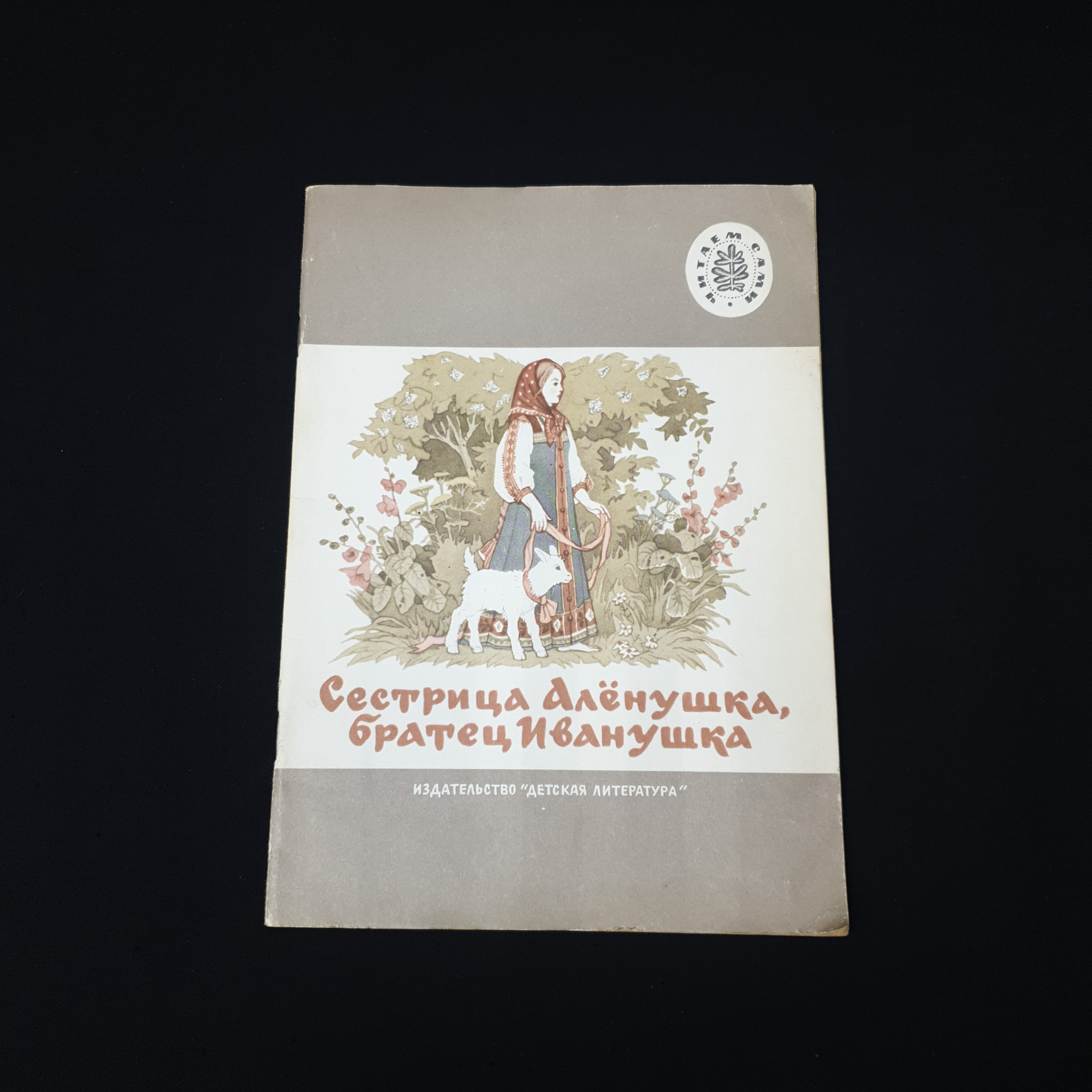 Картинка 1
