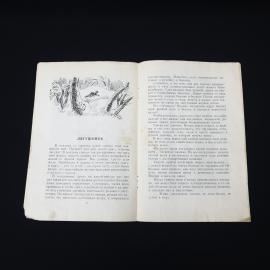Картинка 4