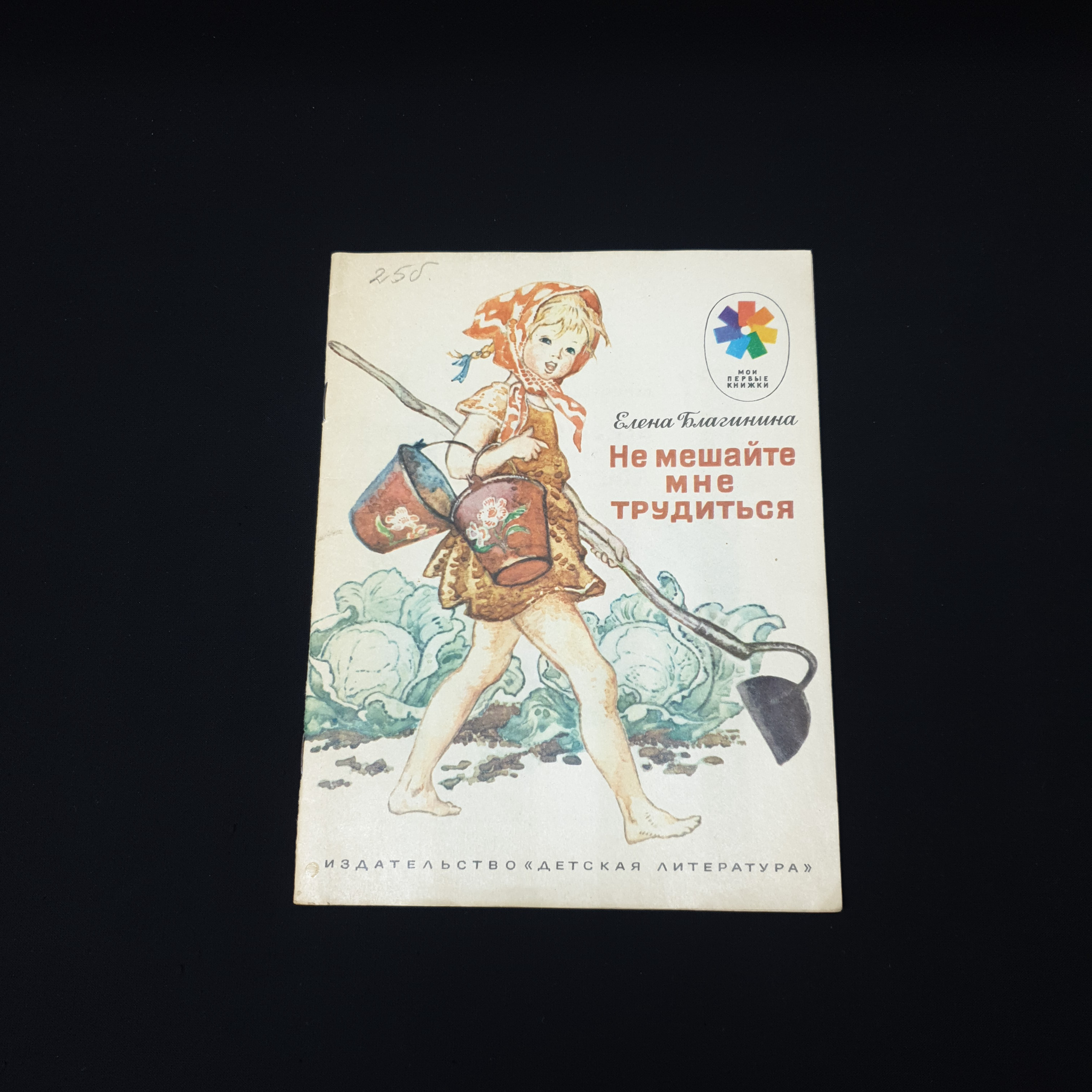Картинка 1