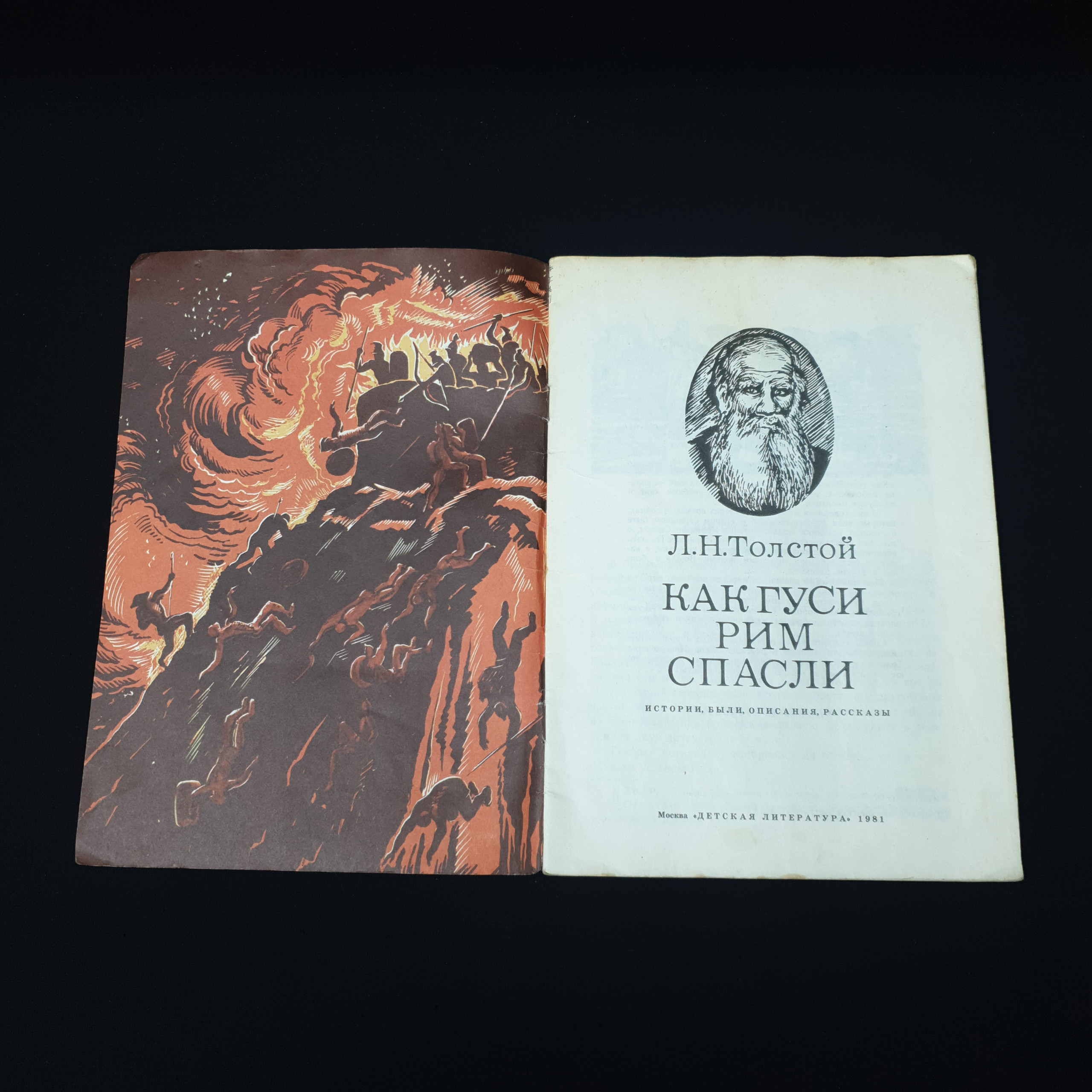 Картинка 3