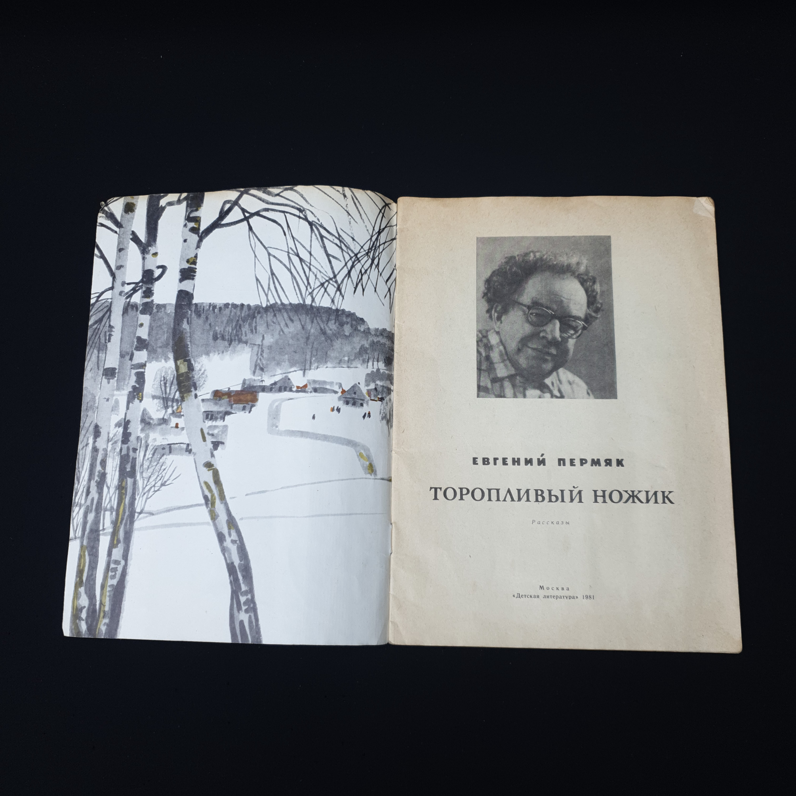Картинка 3