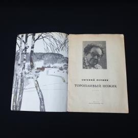 Картинка 3