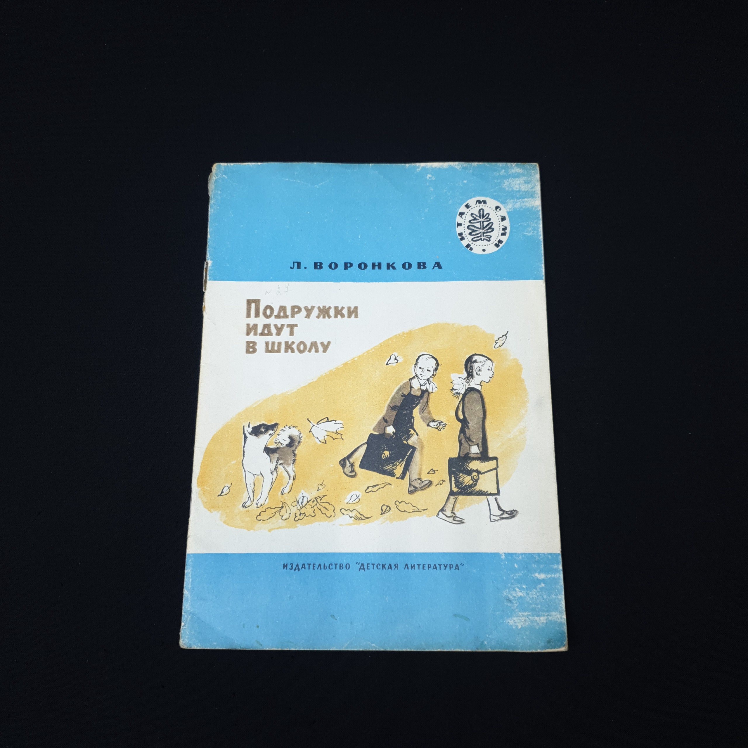 Картинка 1