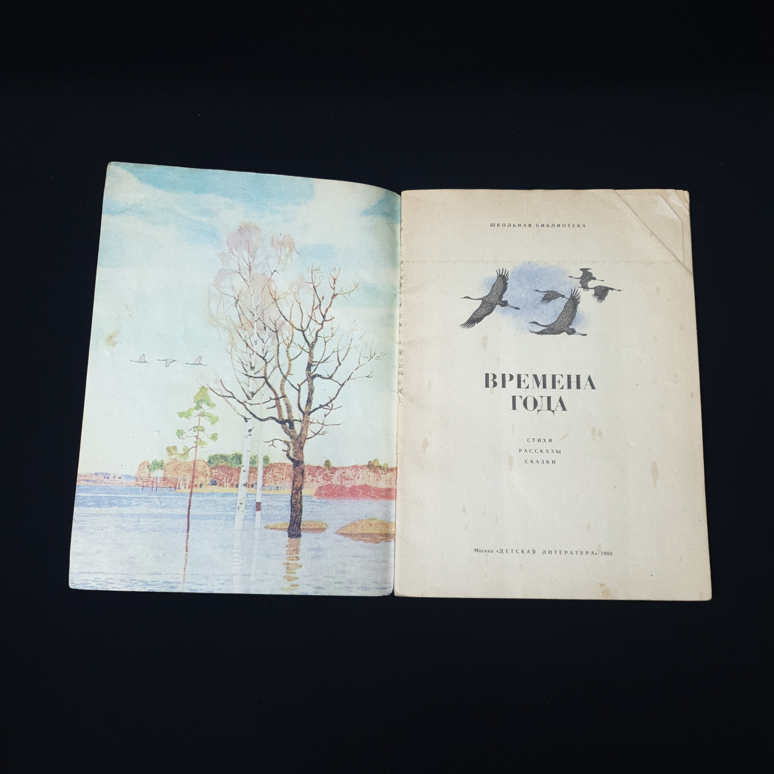 Картинка 3