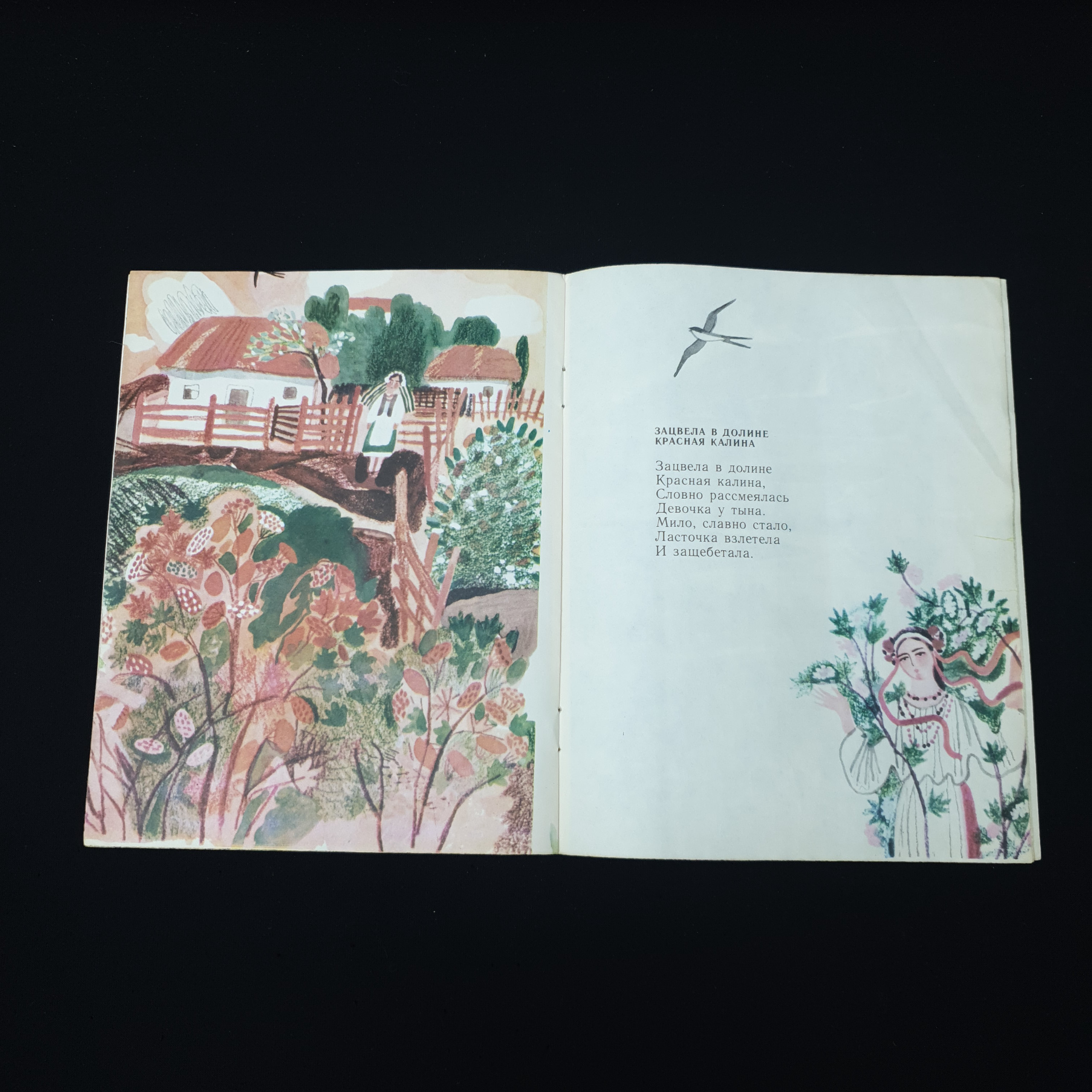 Картинка 4