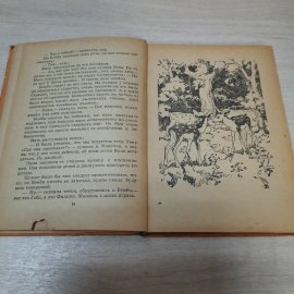 Книга "Бемби", Феликс Зальтен, 1961г. СССР.. Картинка 7
