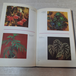 Книга "Цветы в комнате и на балконе", Г.К. Тавлинова, 1990г. СССР.. Картинка 5