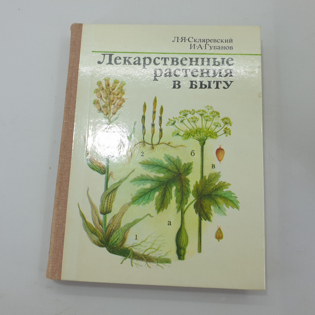 Купить Л.Я. Скляревский, И.А. Гуванов 