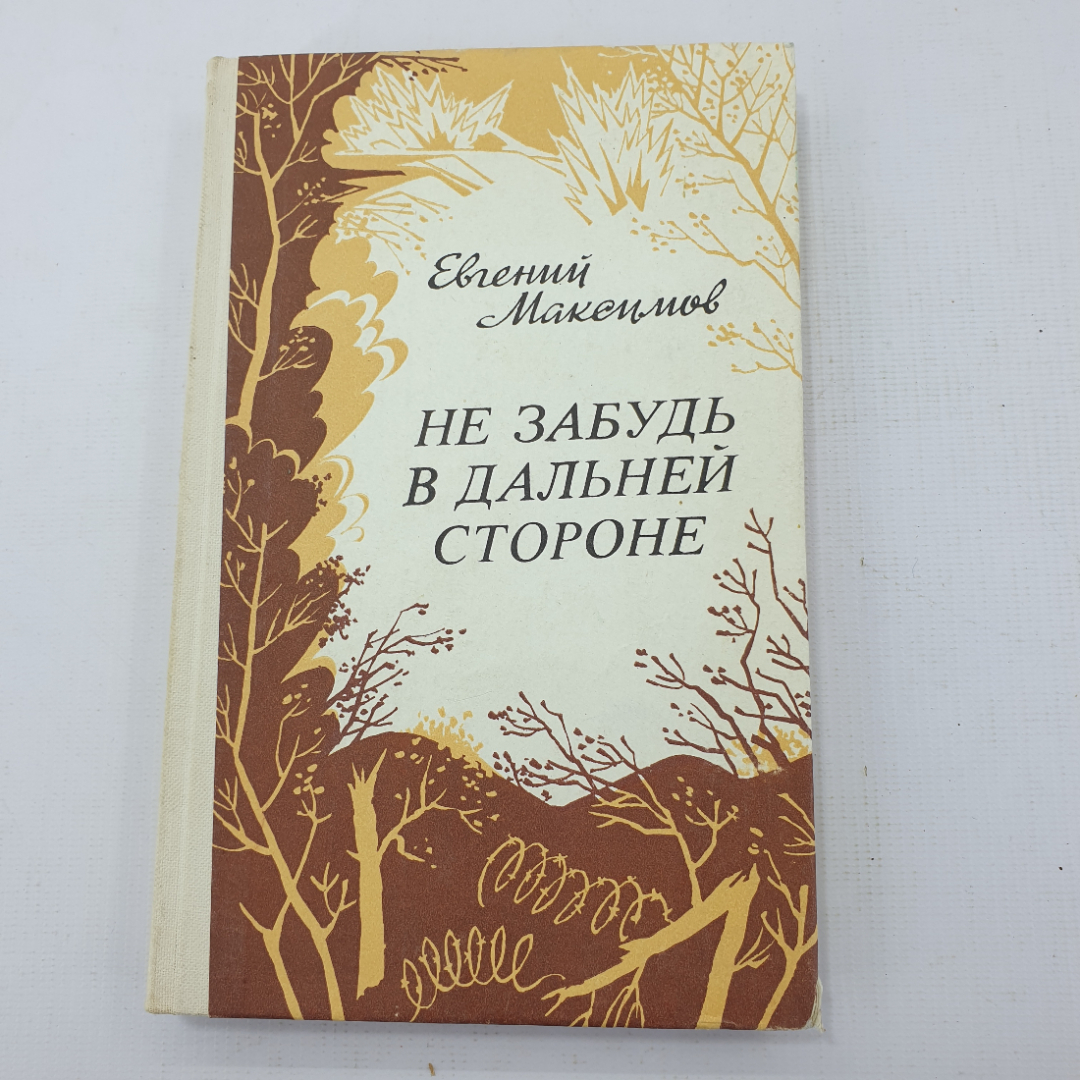 Е. Максимов "Не забудь в дальней стороне". Картинка 1