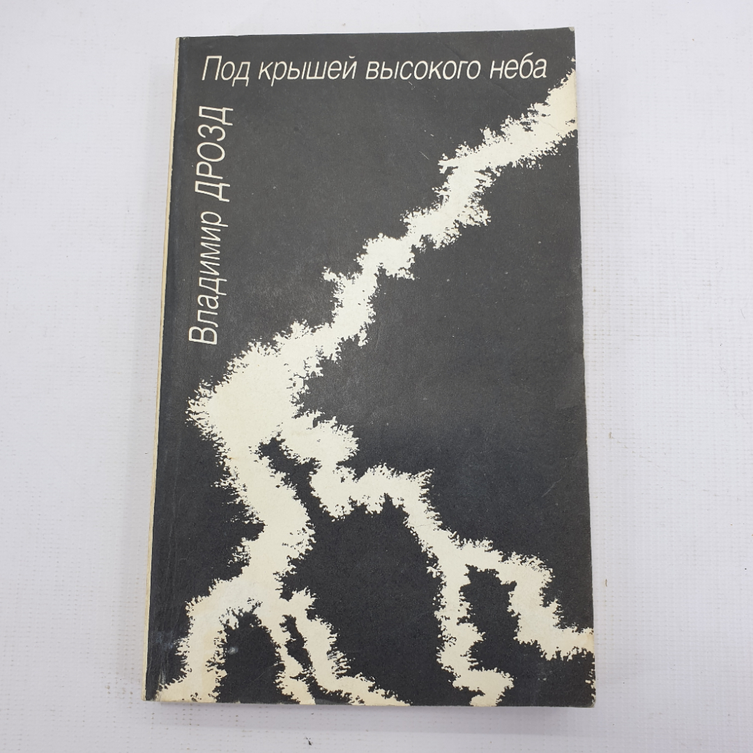 В. Дрозд "Под крышей высокого неба". Картинка 1