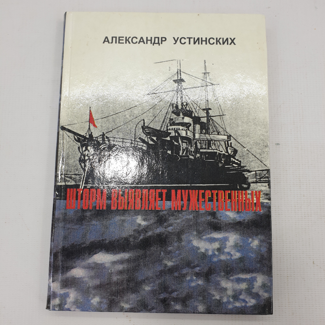А. Устинских "Шторм выявляет мужественных". Картинка 1