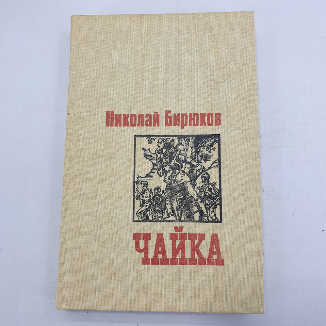 Н. Бирюков "Чайка". Картинка 1