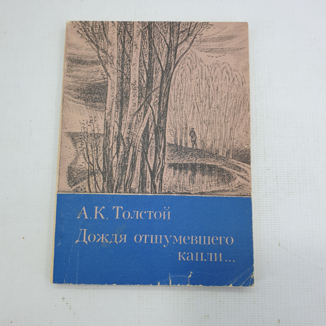 А.К. Толстой "Дождя отшумевшего капли...". Картинка 1