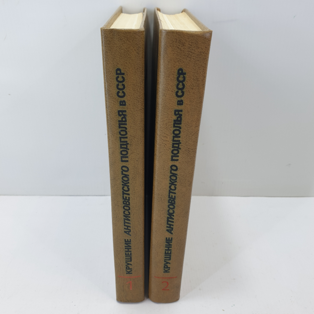 Крушение антисоветского подполья в СССР в двух книгах. Картинка 1
