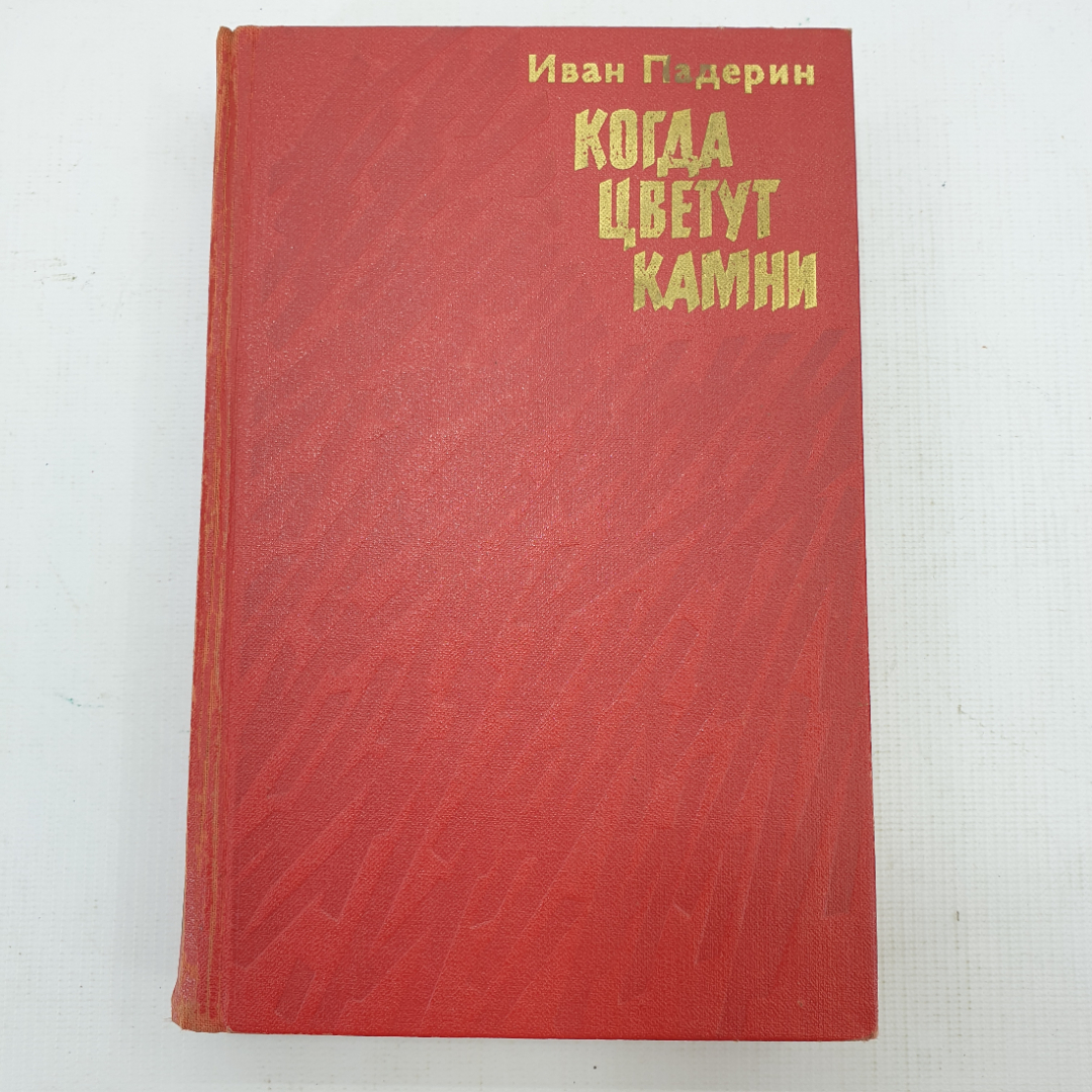 И. Падерин "Когда цветут камни". Картинка 1