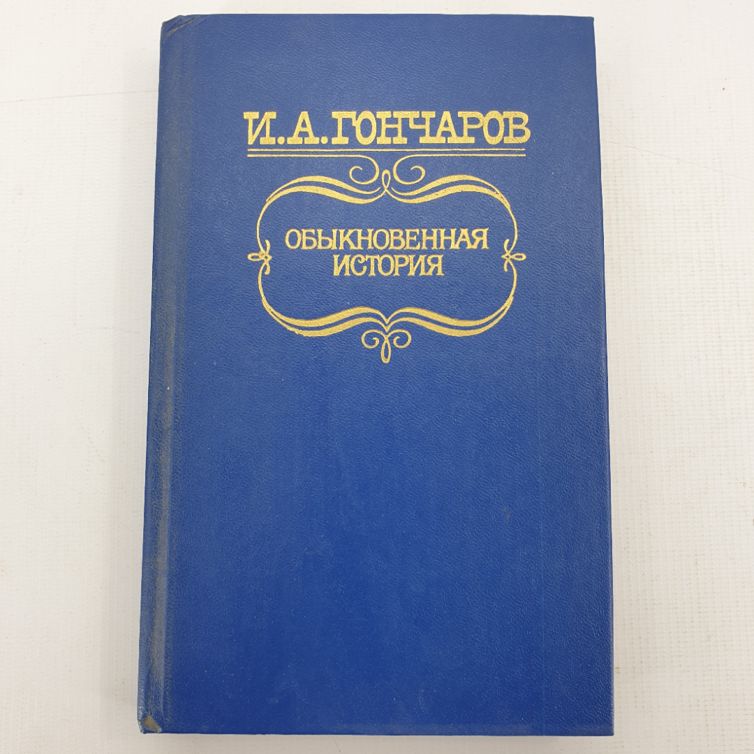 И.А. Гончаров "Обыкновенная история". Картинка 1