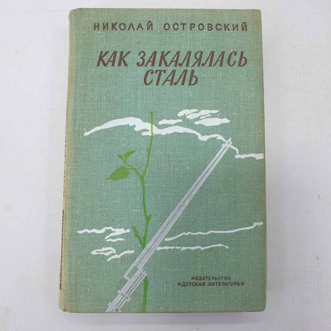 Н. Островский "Как закалялась сталь". Картинка 1