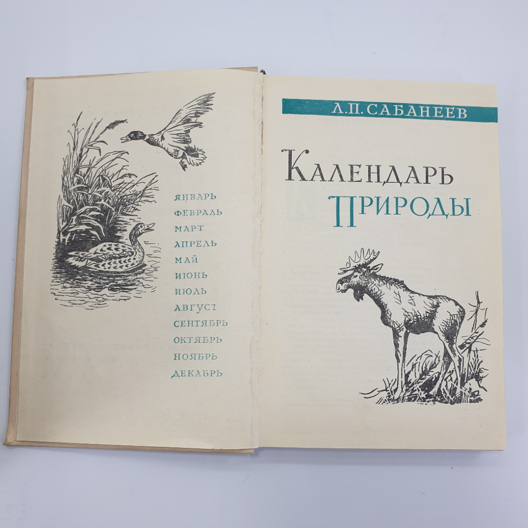 Л.П. Сабанеев "Календарь природы", Москва, 1964г.. Картинка 5