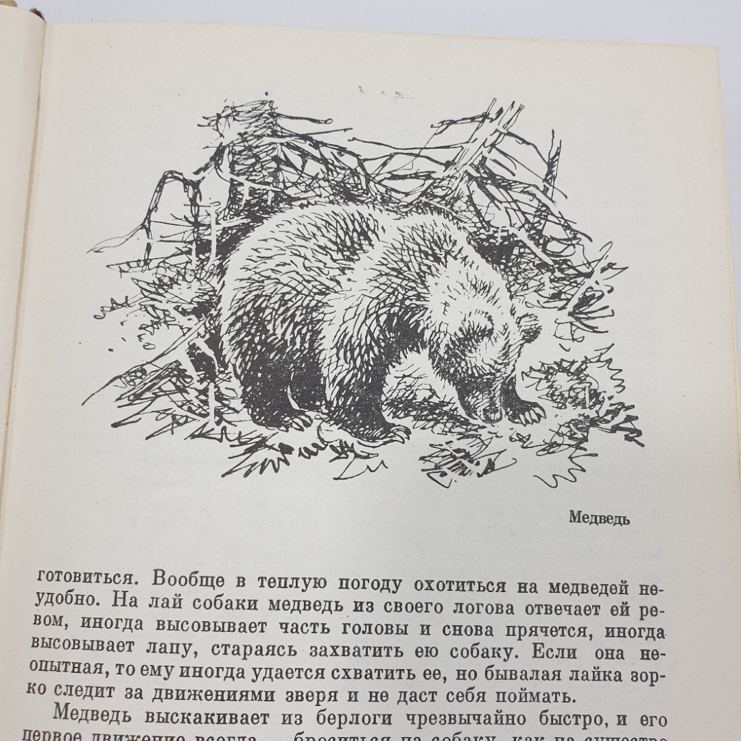 Л.П. Сабанеев "Календарь природы", Москва, 1964г.. Картинка 8