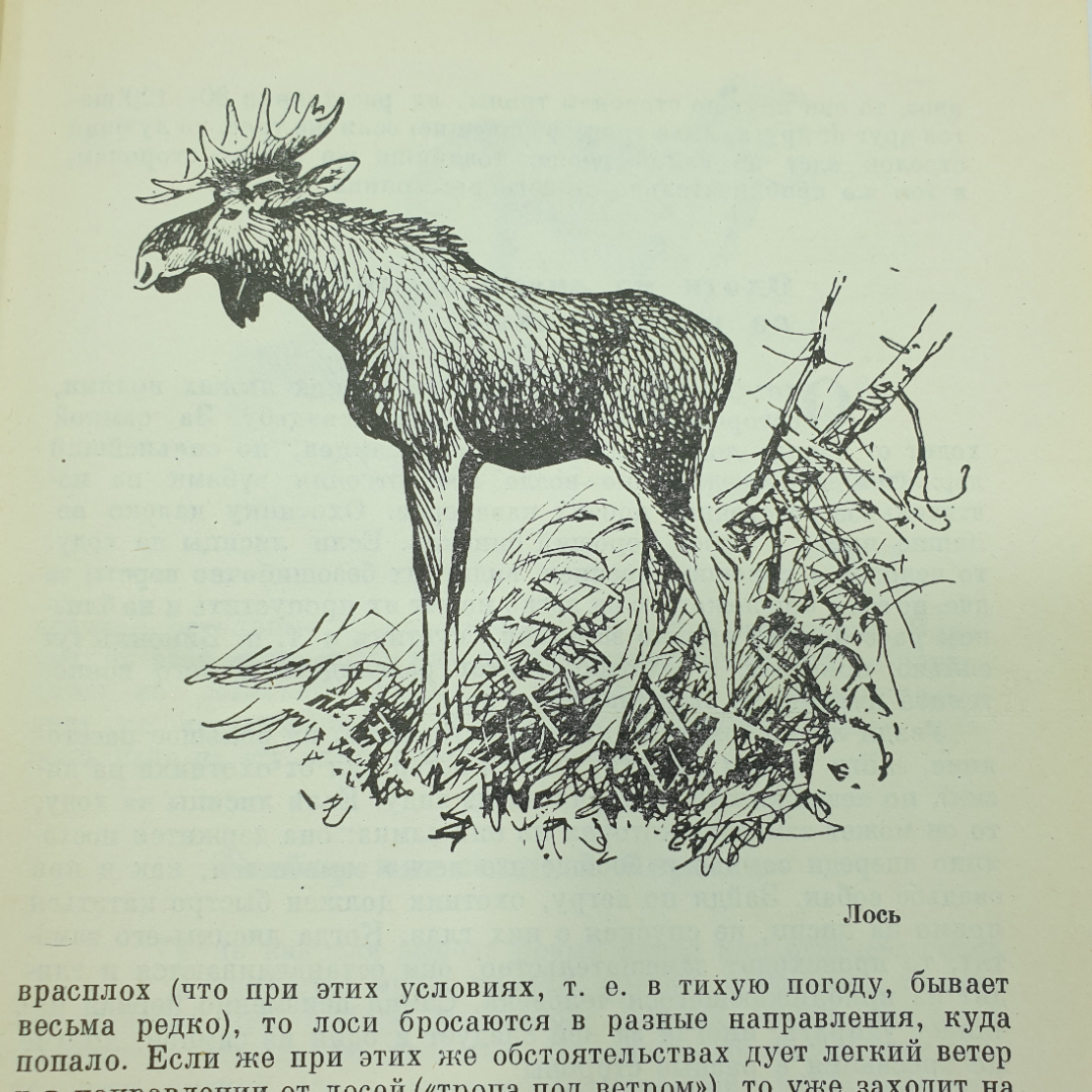 Л.П. Сабанеев "Календарь природы", Москва, 1964г.. Картинка 9