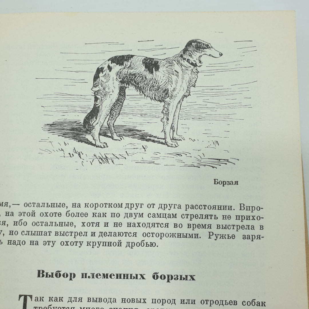 Л.П. Сабанеев "Календарь природы", Москва, 1964г.. Картинка 10