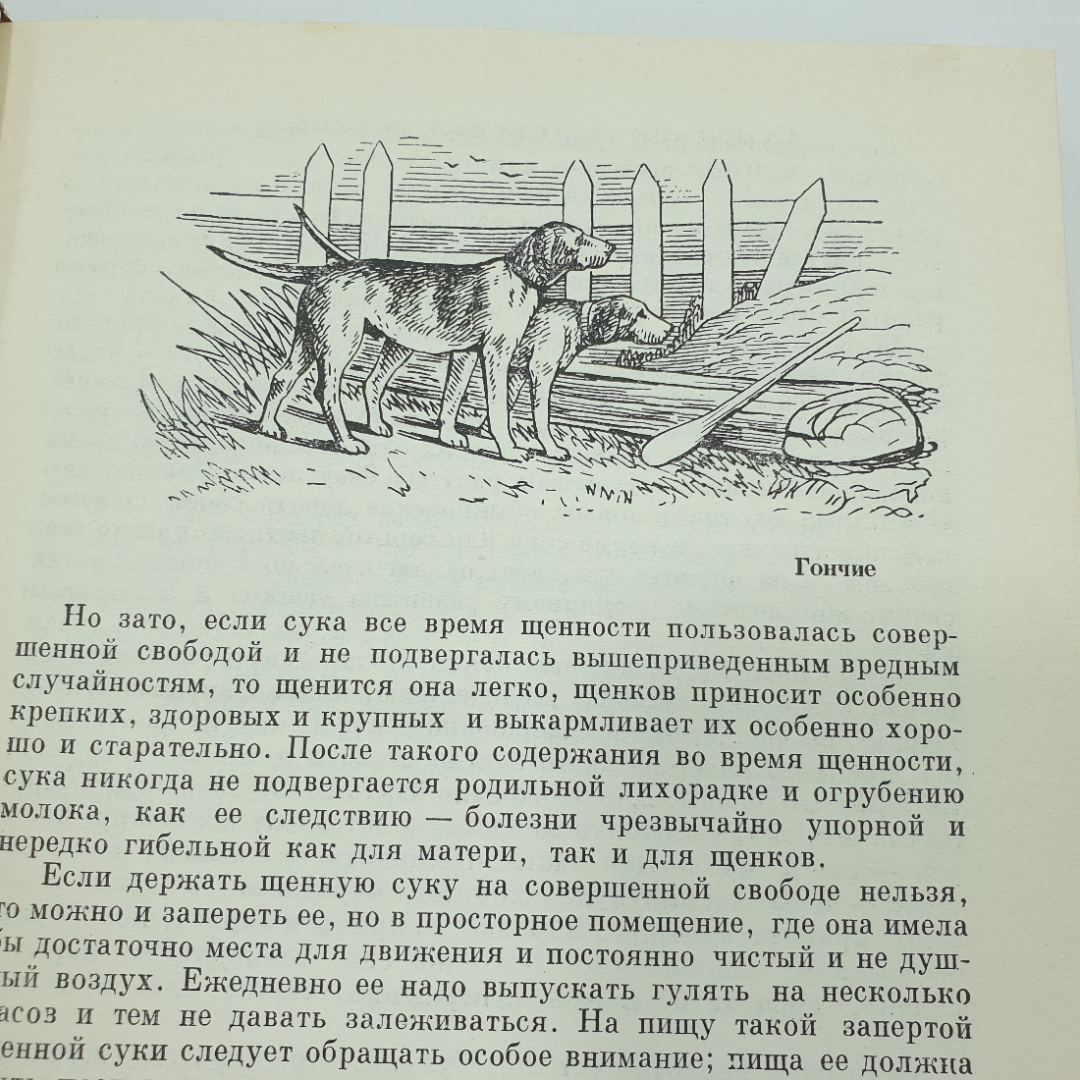 Л.П. Сабанеев "Календарь природы", Москва, 1964г.. Картинка 12