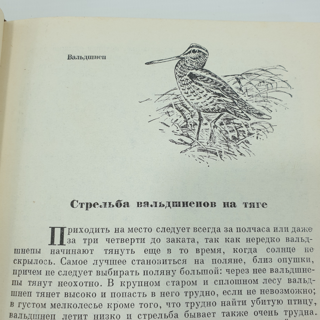 Л.П. Сабанеев "Календарь природы", Москва, 1964г.. Картинка 14