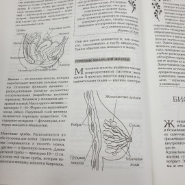 Энциклопедия "Здоровье женщины", Эксмо, 2008г.. Картинка 9