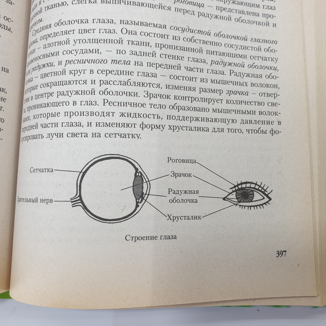 А.В. Маркова "Полная энциклопедия народной медицины", издательство "Сова", 2007г.. Картинка 12