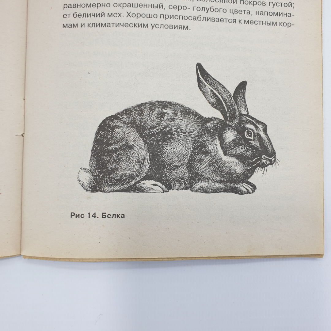 Книга "Разведение кроликов", издательство Сталкер, 2002г.. Картинка 11