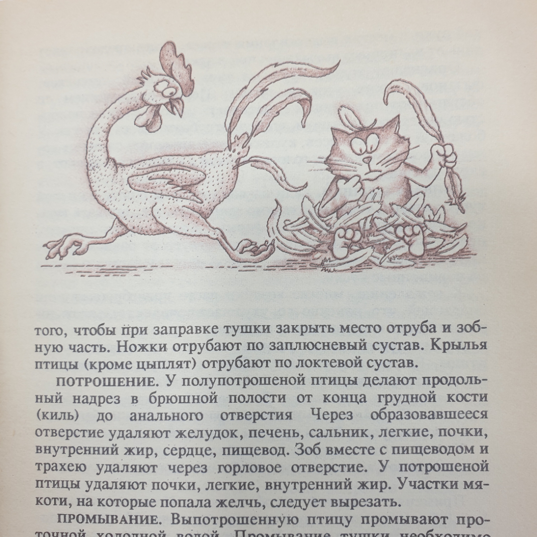 Т.И. Захарова "Блюда из птицы", Москва, 1991г.. Картинка 6