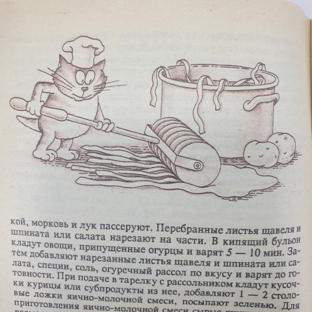 Т.И. Захарова "Блюда из птицы", Москва, 1991г.. Картинка 9