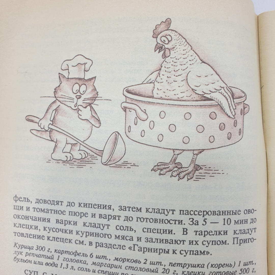 Т.И. Захарова "Блюда из птицы", Москва, 1991г.. Картинка 10