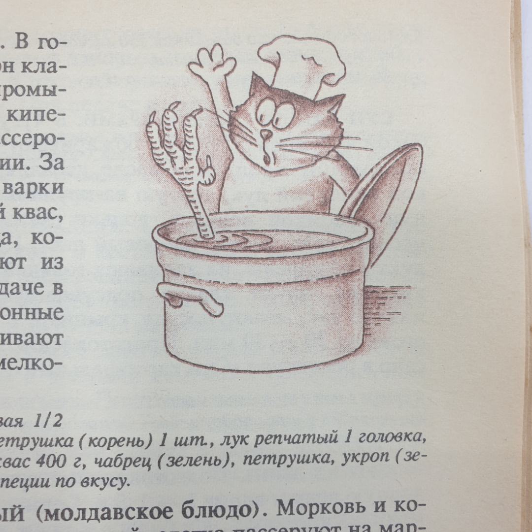 Т.И. Захарова "Блюда из птицы", Москва, 1991г.. Картинка 11