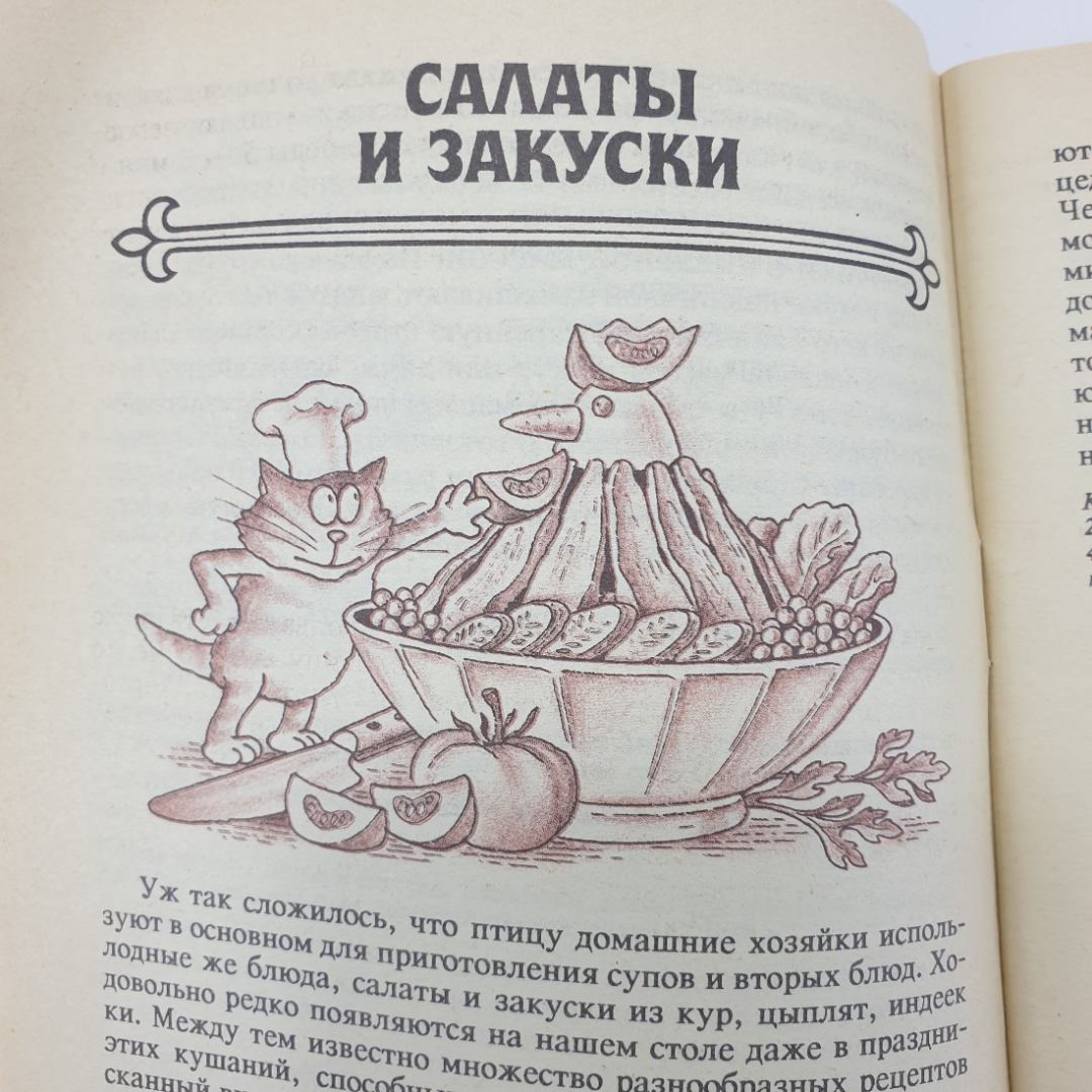 Т.И. Захарова "Блюда из птицы", Москва, 1991г.. Картинка 14