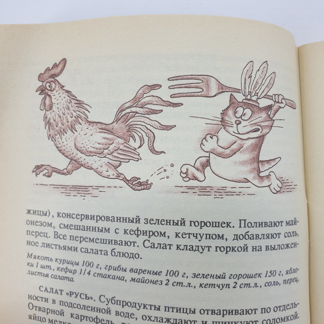 Т.И. Захарова "Блюда из птицы", Москва, 1991г.. Картинка 15